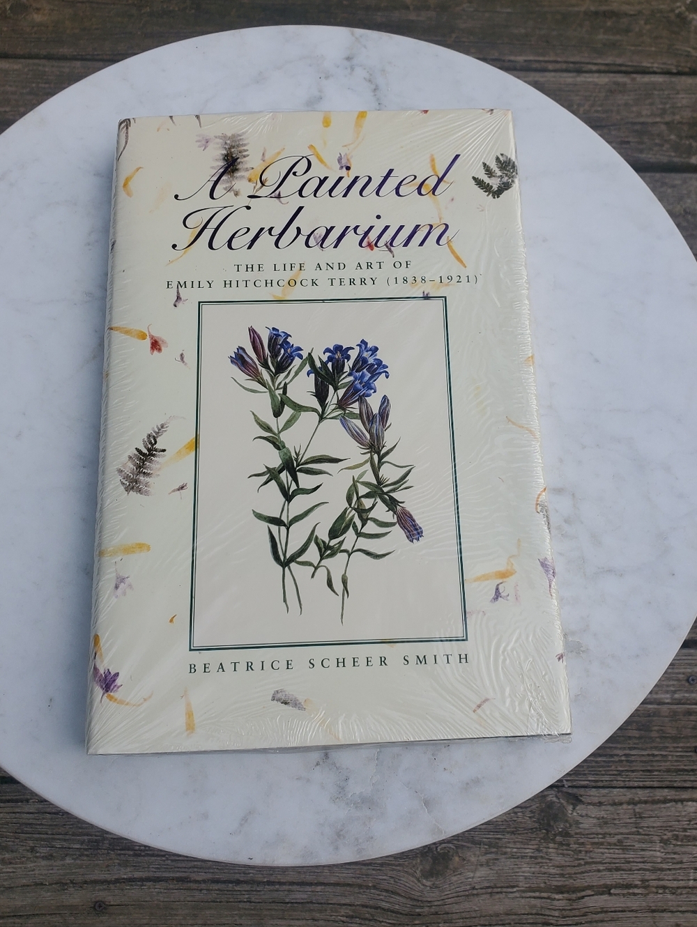 A Painted Herbarium The Life and Art of Emily Hitchcock Terry Book
